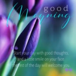 good morning android application logo